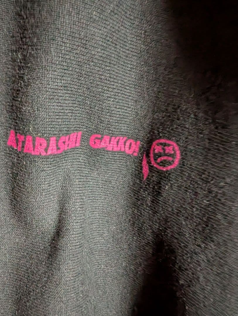 新しい学校のリーダーズ　公式FREE YOUR MIND 裏起毛パーカー 超レア