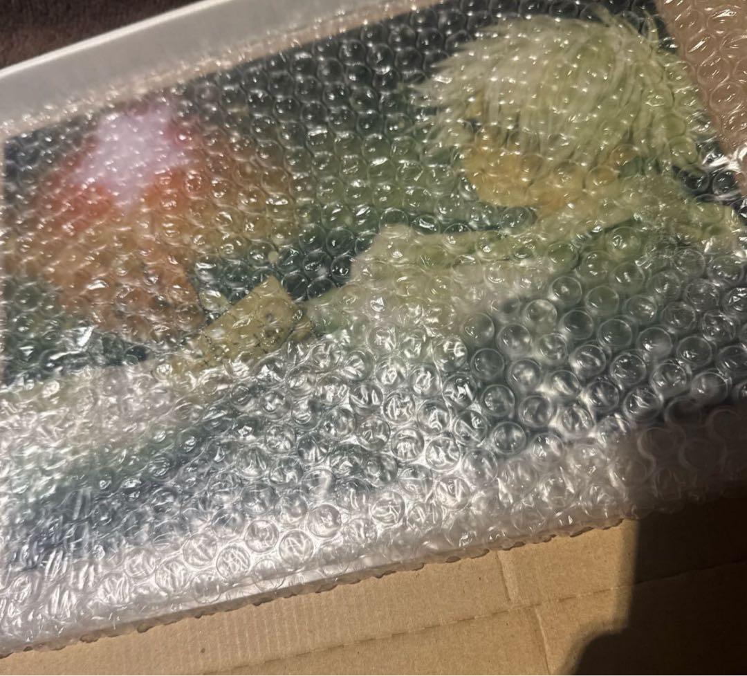 テガミバチ　浅田弘幸　直筆サイン　複製アクリル原画　ジギー・ペッパー