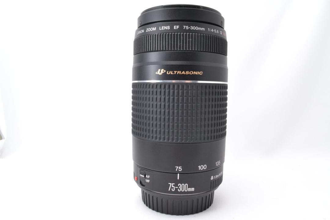 キャノン Canon EF 75-300 F4-5.6 USM Ⅲ 望遠レンズ