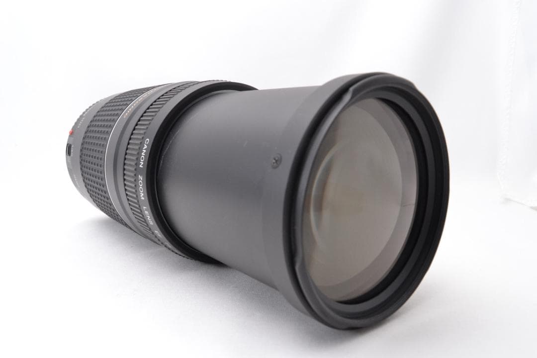 キャノン Canon EF 75-300 F4-5.6 USM Ⅲ 望遠レンズ