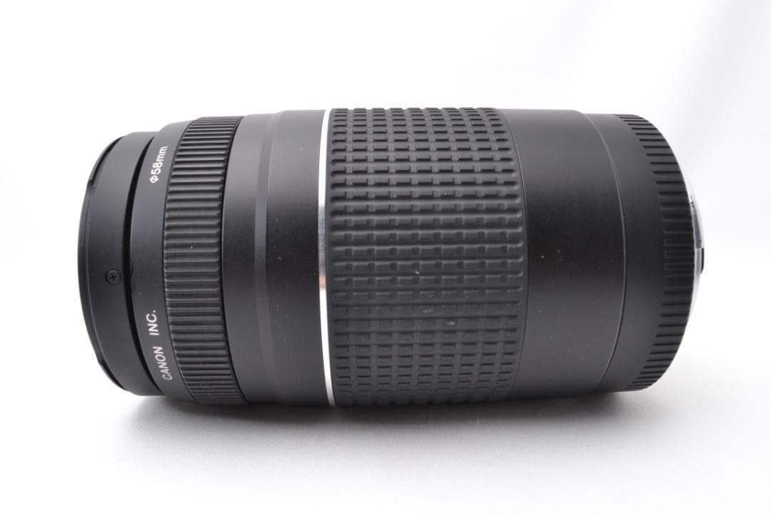 キャノン Canon EF 75-300 F4-5.6 USM Ⅲ 望遠レンズ