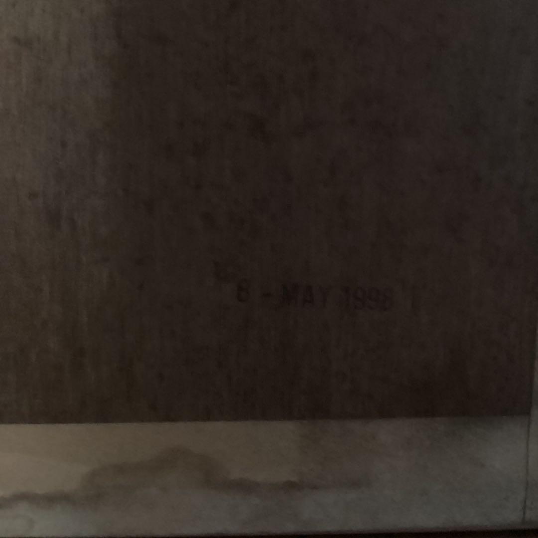 シペリウジウム　カルルム　【蘭科アツモリ草属】シンガポールラッフル