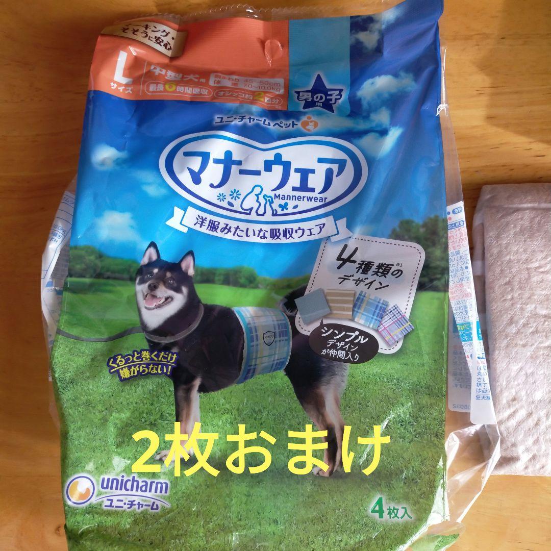 うんコロキャッチМ2枚　新品　おまけ付き