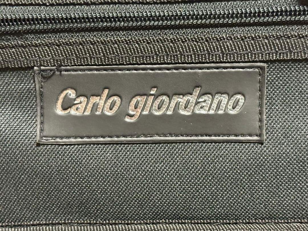 カルロ・ジョルダーノ　エレキバイオリン　CV-210E 美品1922-01-1