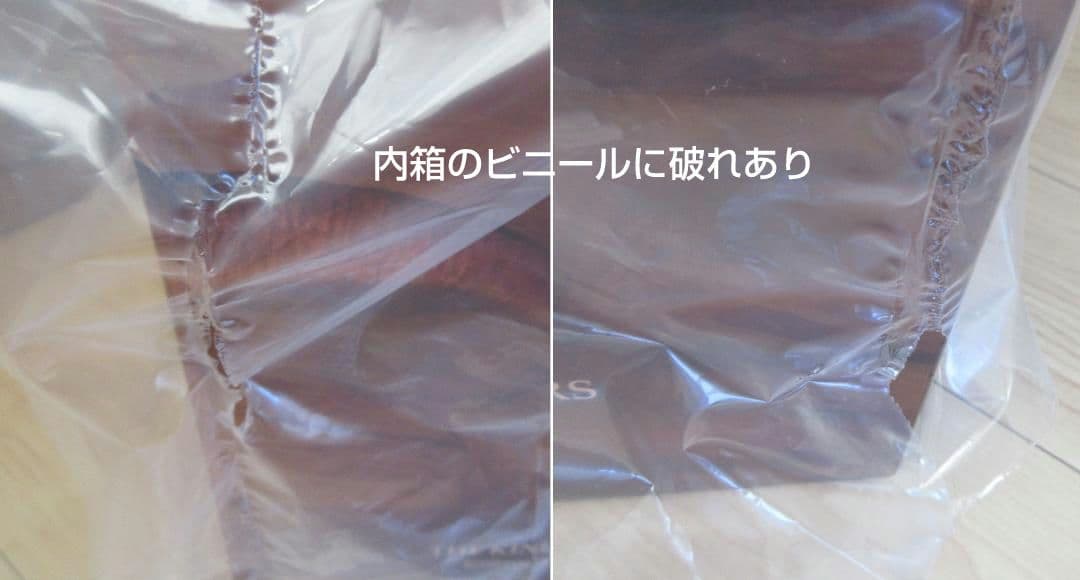 【海洋堂】NATURE TALES 恐竜王☆松村しのぶ