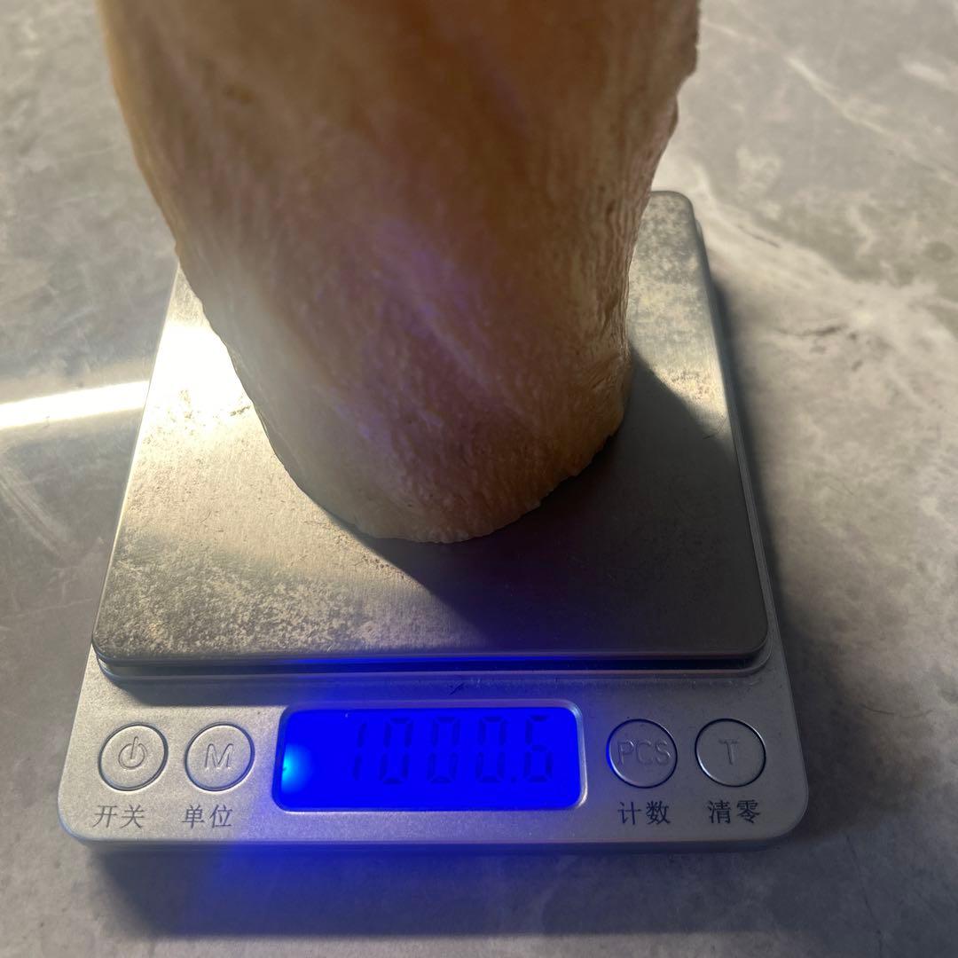 ウニコール イッカク鯨 鯨歯 超貴重 ブロック材 標本