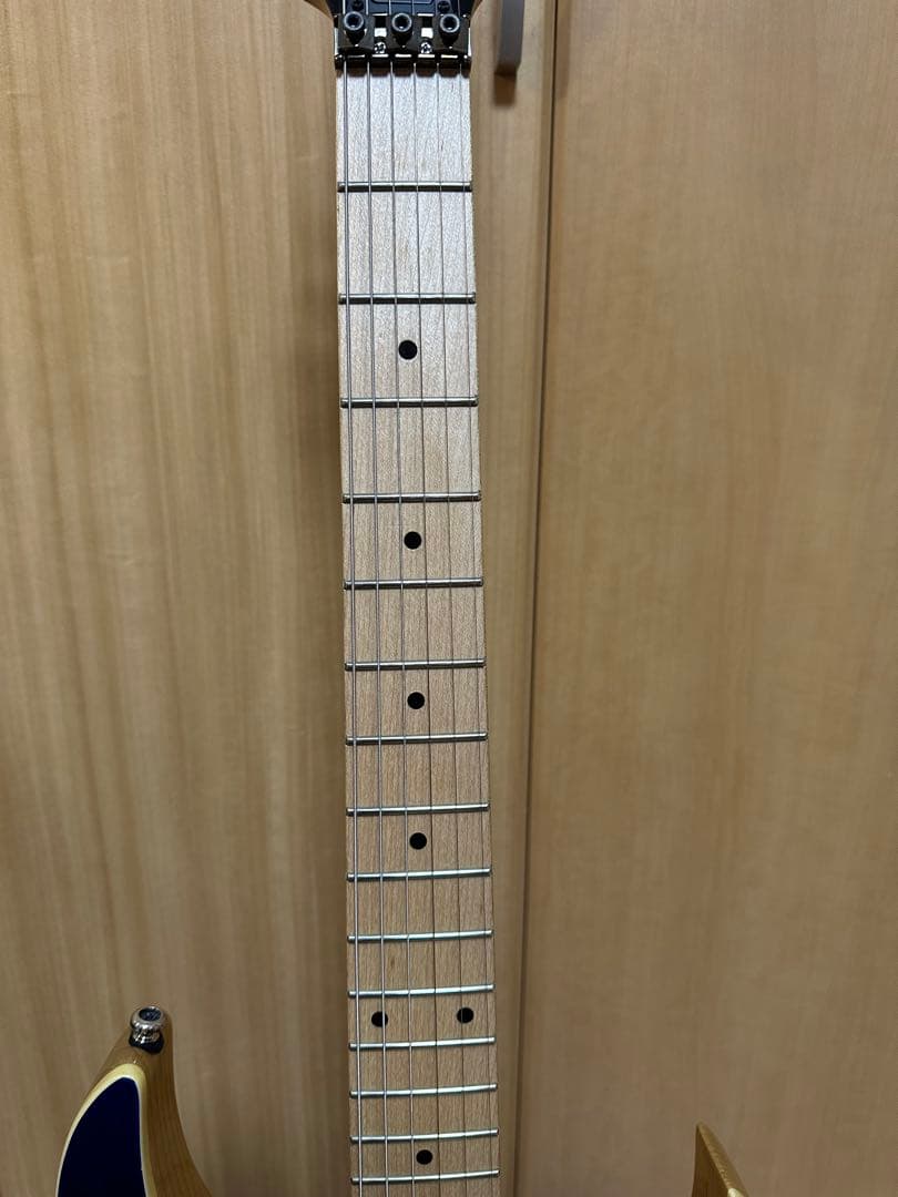 Ibanez アイバニーズ　RGシリーズ RG370AHMZ-BMT