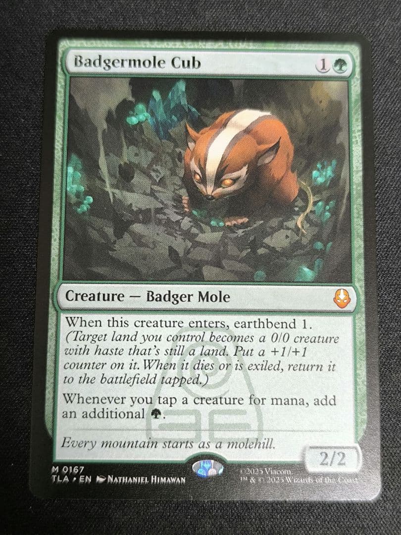 アナグマモグラの仔　英語版　1枚