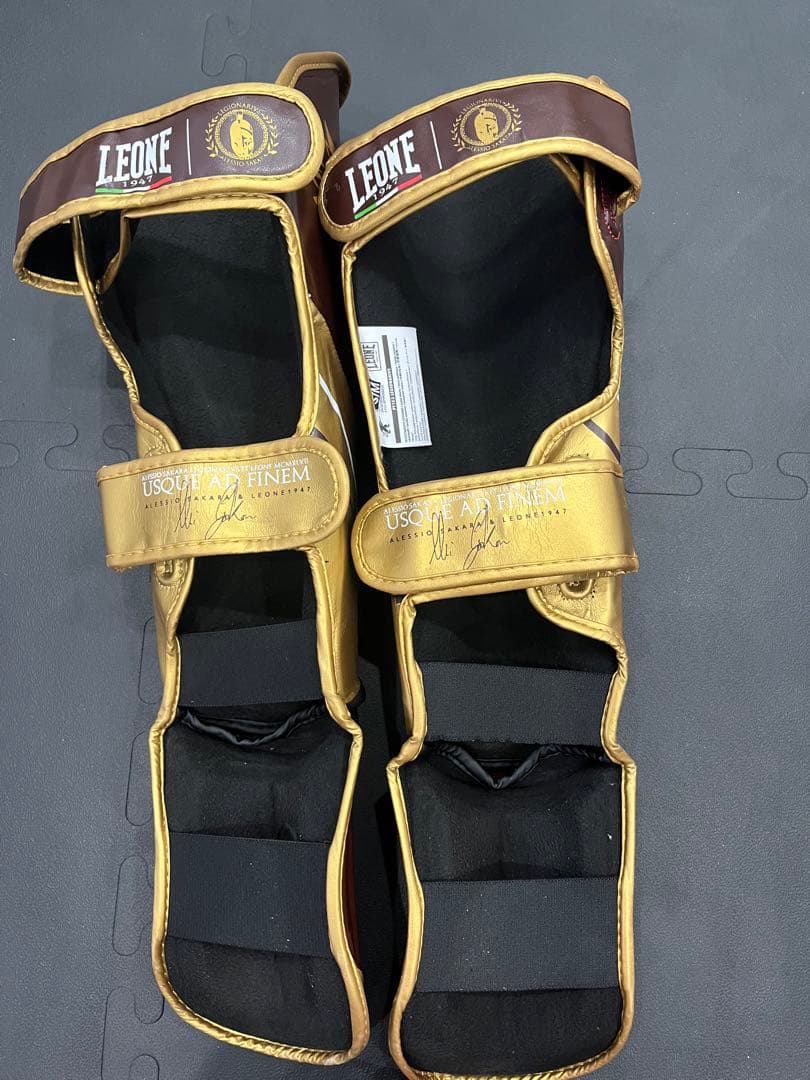 レオーネ 1947 レガース