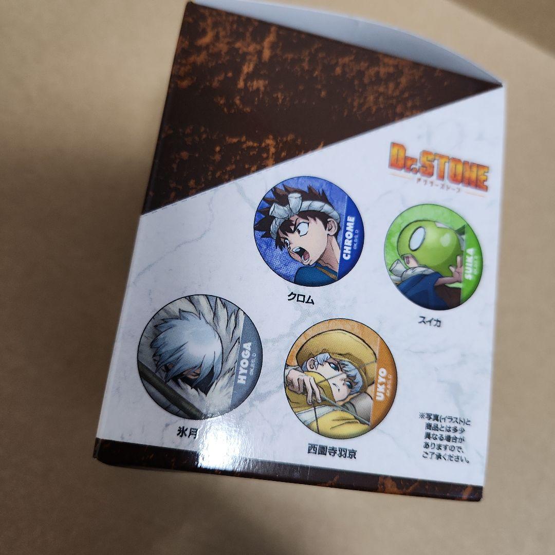 Dr.STONE トレーディング缶バッジ全種 箱付き