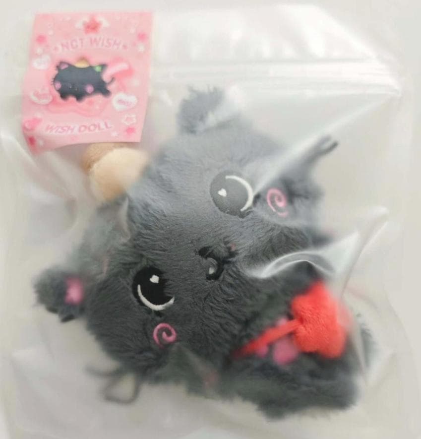 nctwish steady wishdoll ぬいぐるみ　リク q5