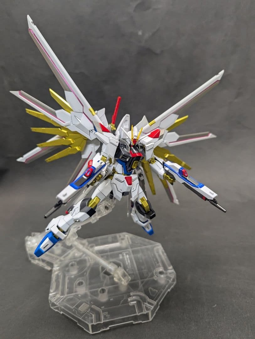 HGズゴック キャリアバーアイフリット、マイティーストライクフリーダム付き