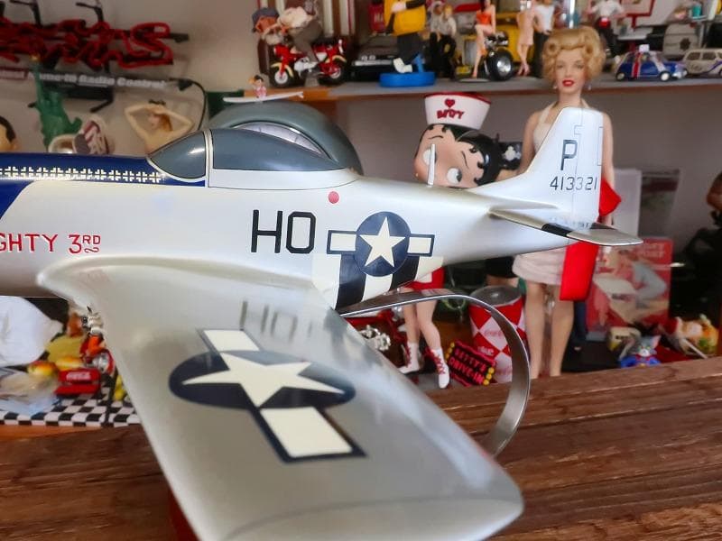 木製飛行機模型 40cm マスタングP-51 クリプスマイティ1/48