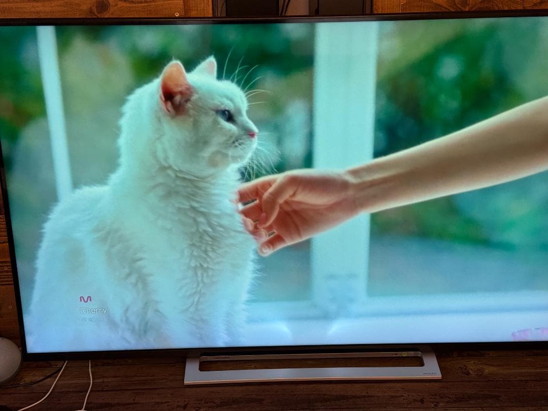 REGZA 55M520X 55インチ　4K液晶テレビ　訳あり