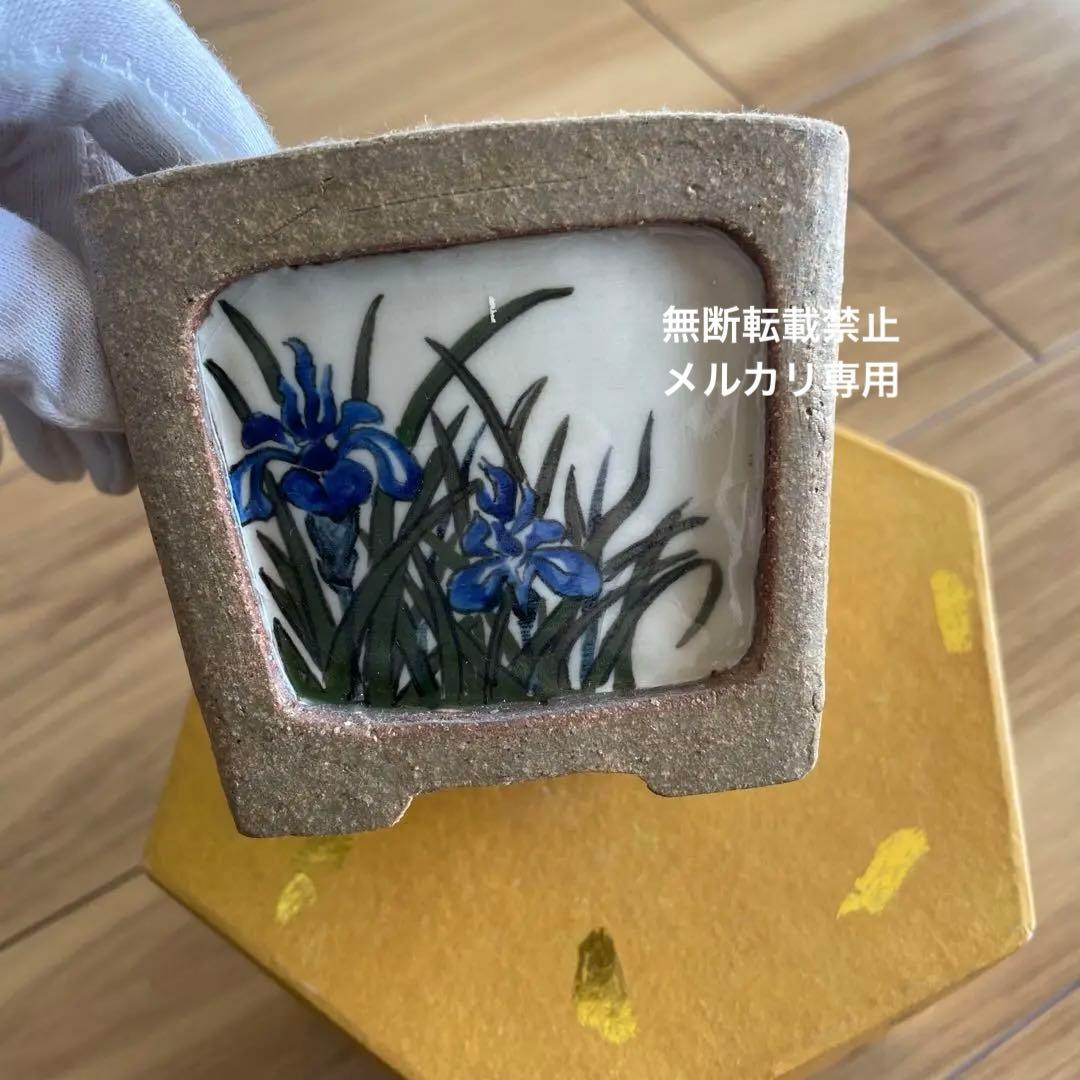 盆栽鉢　桑津香石　絵鉢　菖蒲　山野草　正方形
