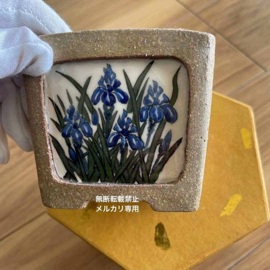盆栽鉢　桑津香石　絵鉢　菖蒲　山野草　正方形
