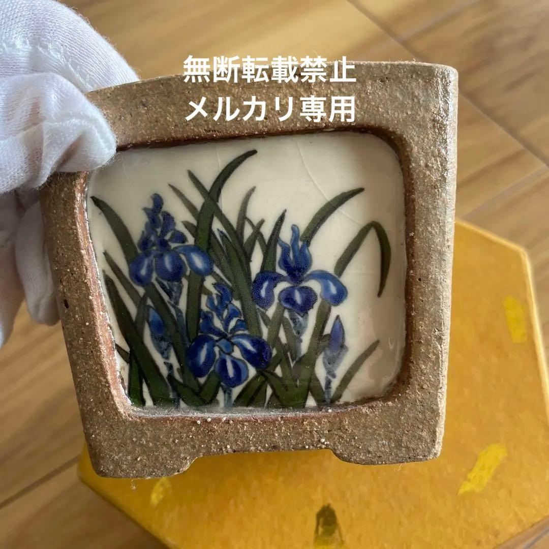 盆栽鉢　桑津香石　絵鉢　菖蒲　山野草　正方形