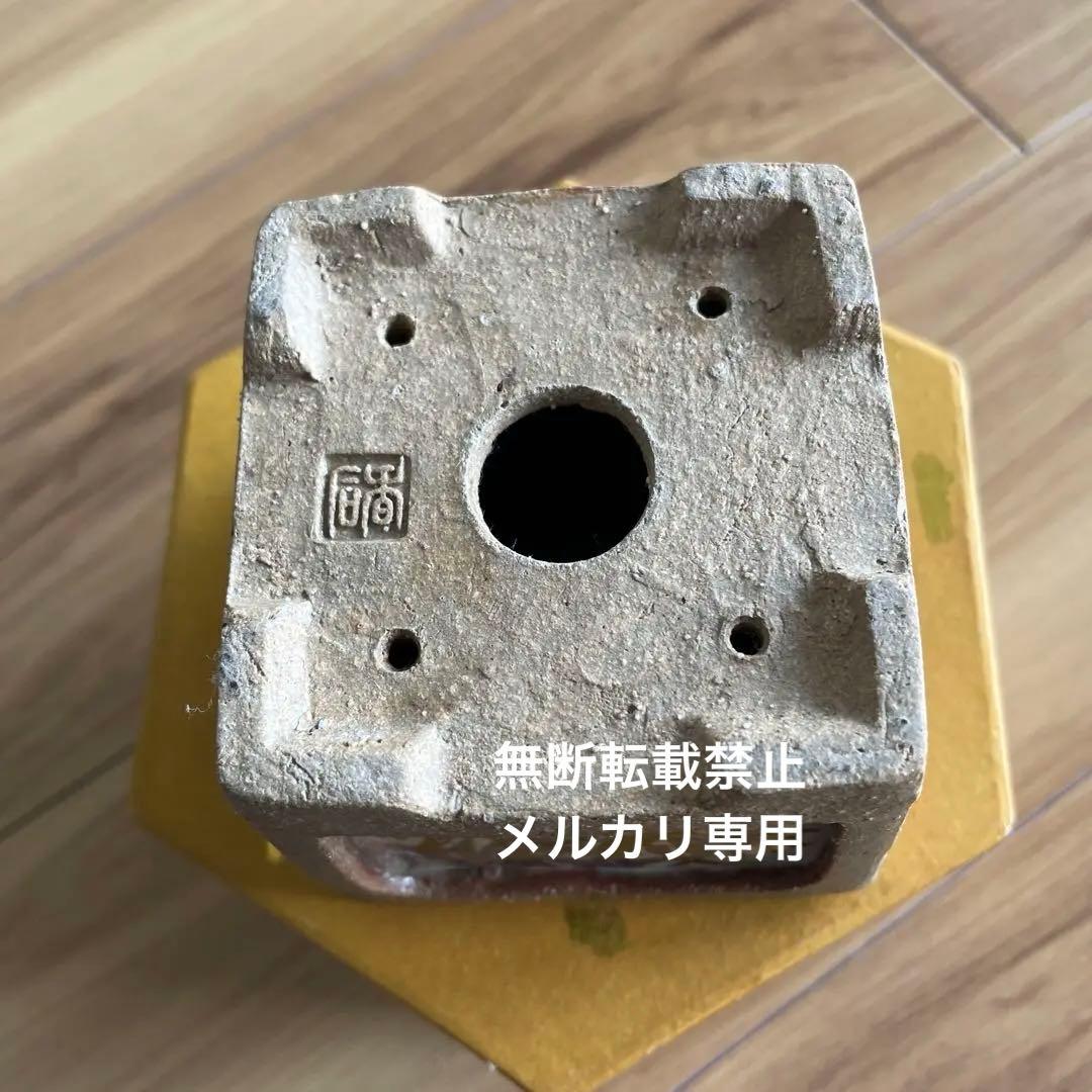 盆栽鉢　桑津香石　絵鉢　菖蒲　山野草　正方形