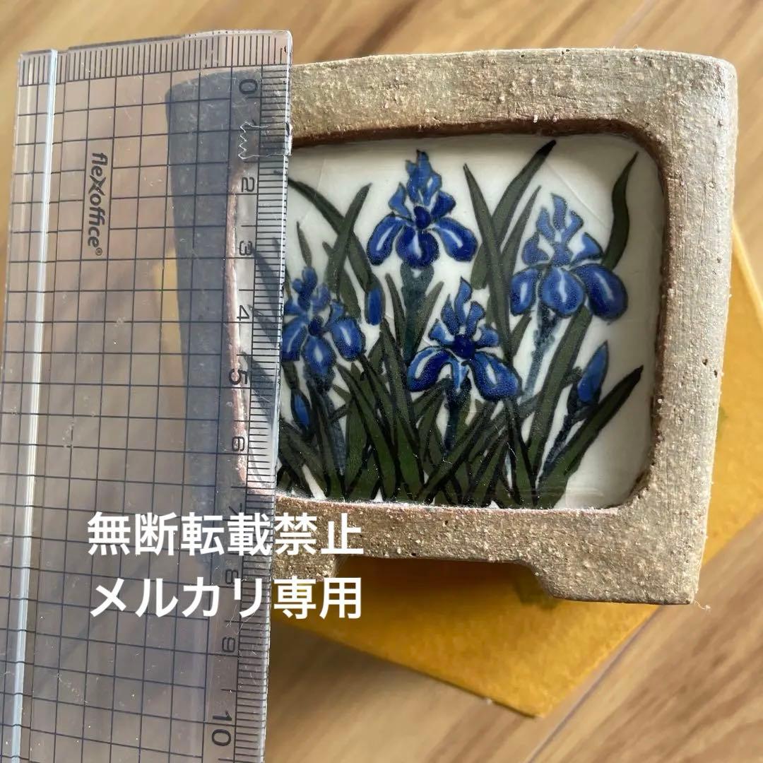 盆栽鉢　桑津香石　絵鉢　菖蒲　山野草　正方形