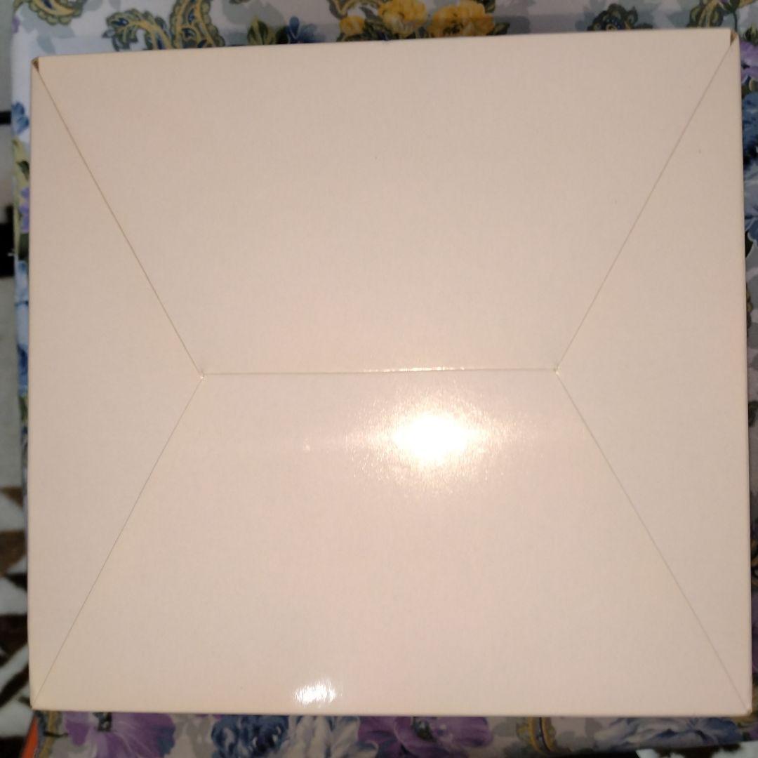 未開封　東方Project　チルノ　T's system