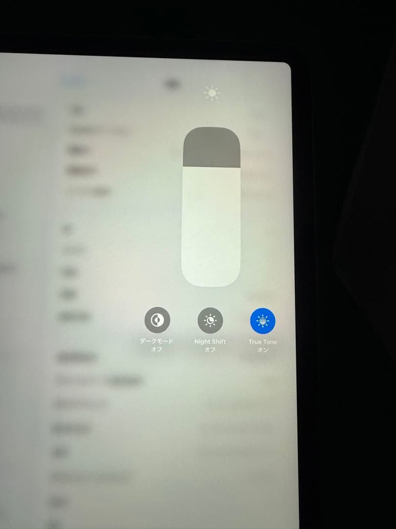 2119 IPAD PRO 11インチ第二世代256GB WIFI＋セルラー