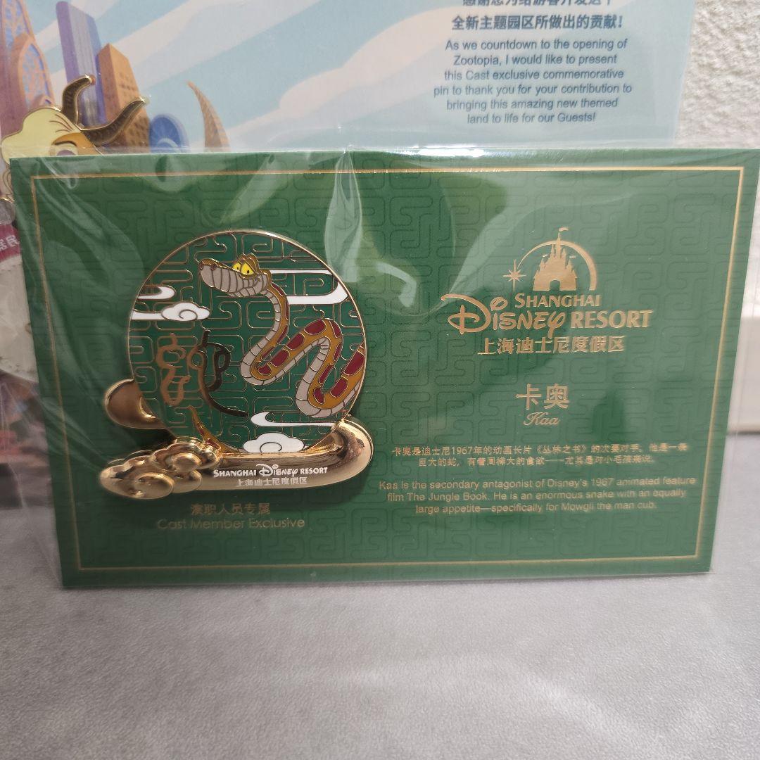 上海ディズニーリゾート キャスト限定 ピンバッジ