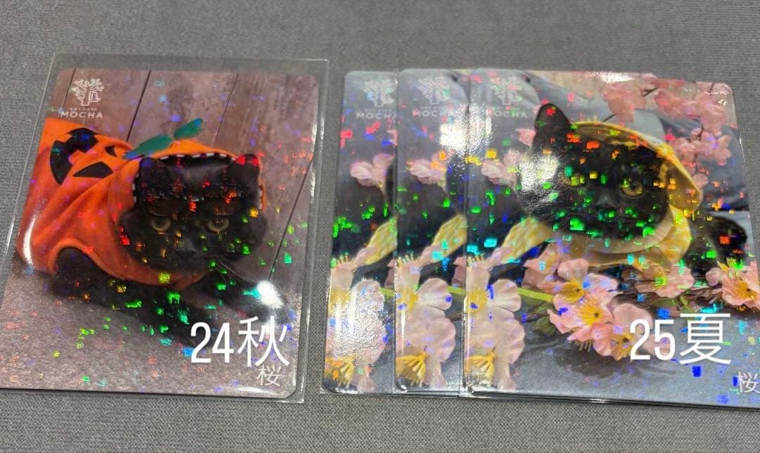 猫カフェ mocha 町田 にゃんずトレカ