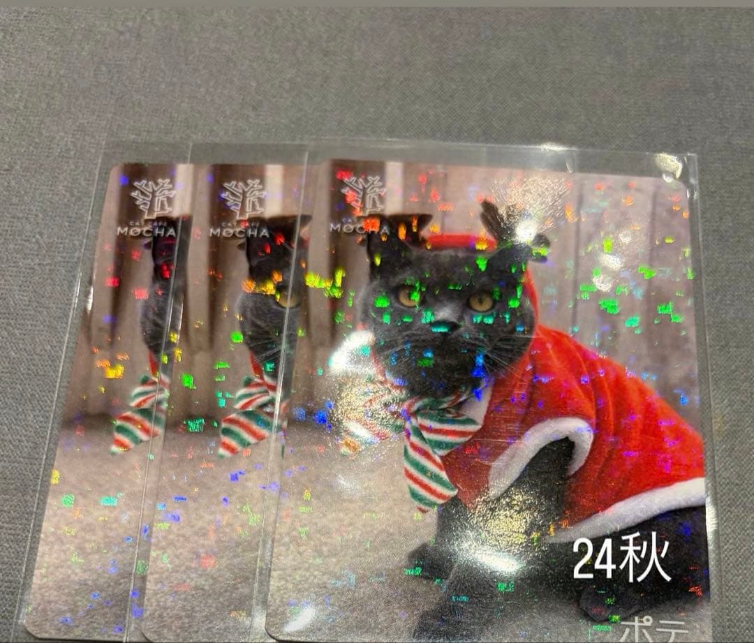 猫カフェ mocha 町田 にゃんずトレカ