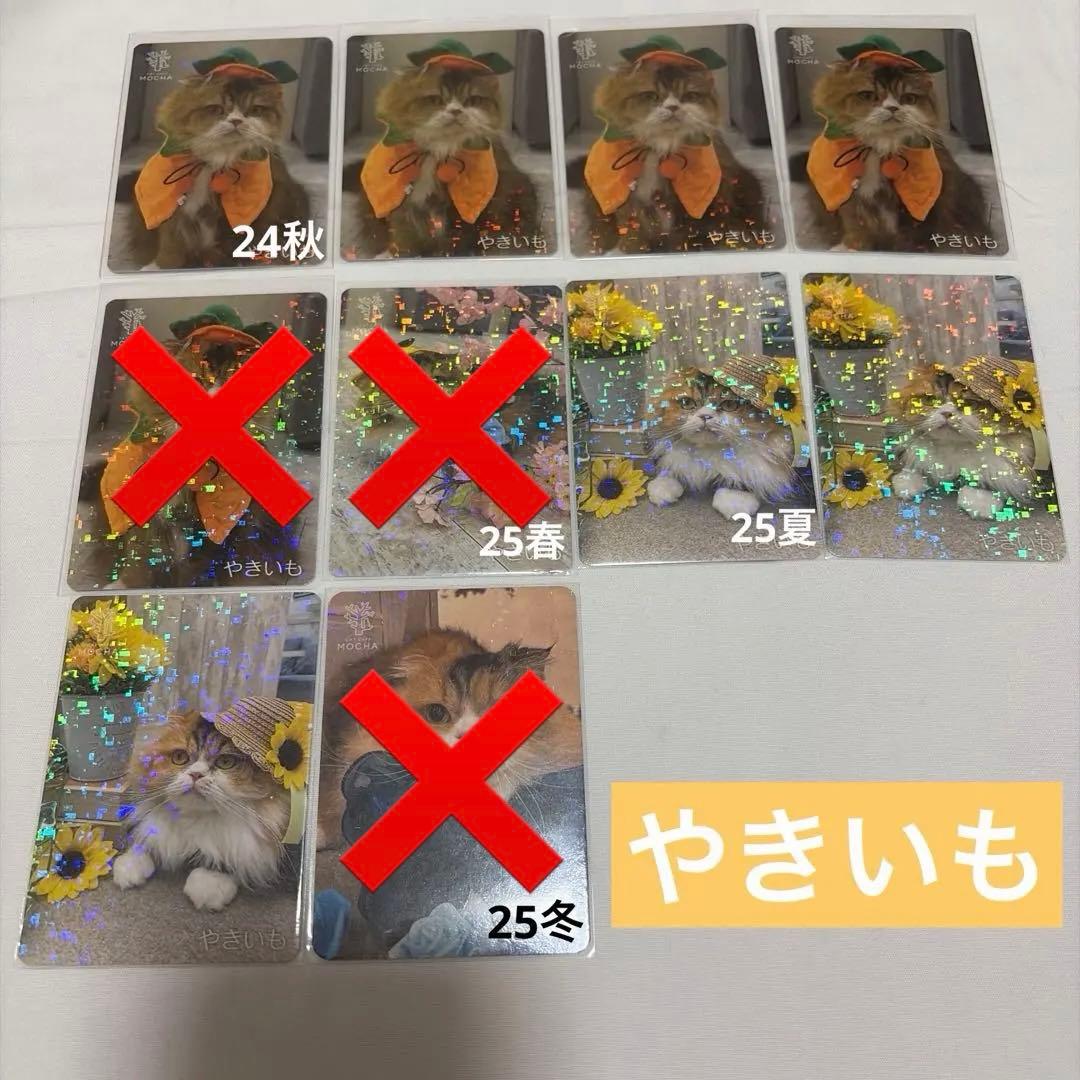 猫カフェ mocha 町田 にゃんずトレカ