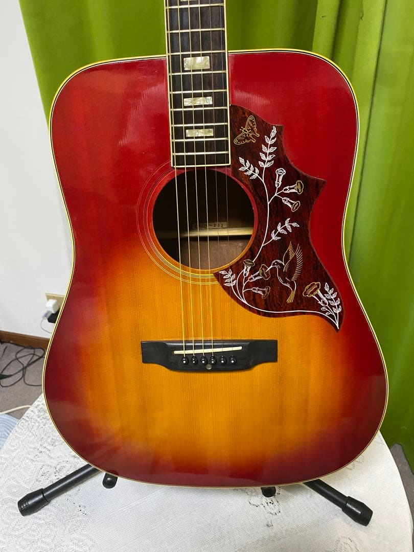 新春特価　Greco ハミングバード エレアコ　フジゲン製