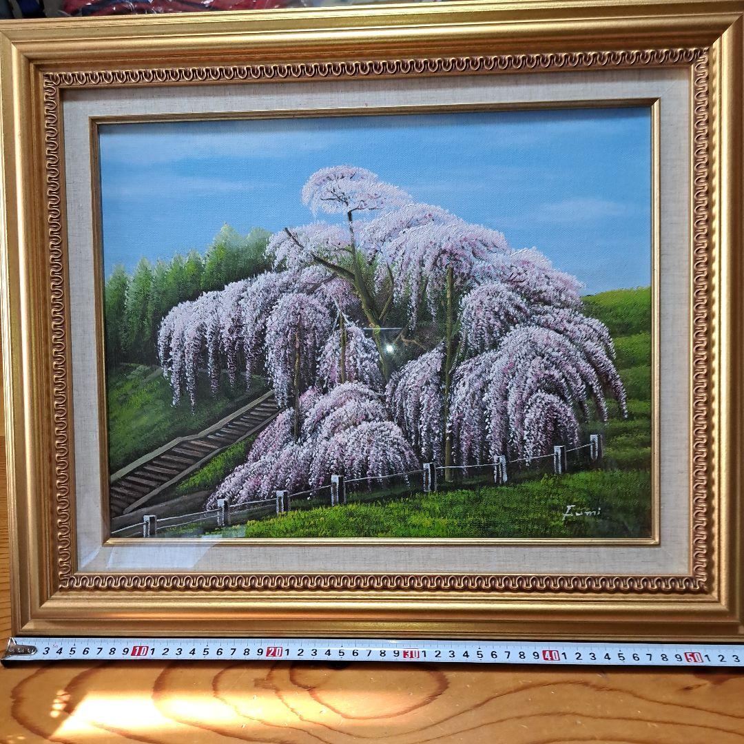 なんと‼️今だけ特別価格【期間限定商品　貴重品】日本三代桜 三春滝桜 福島県