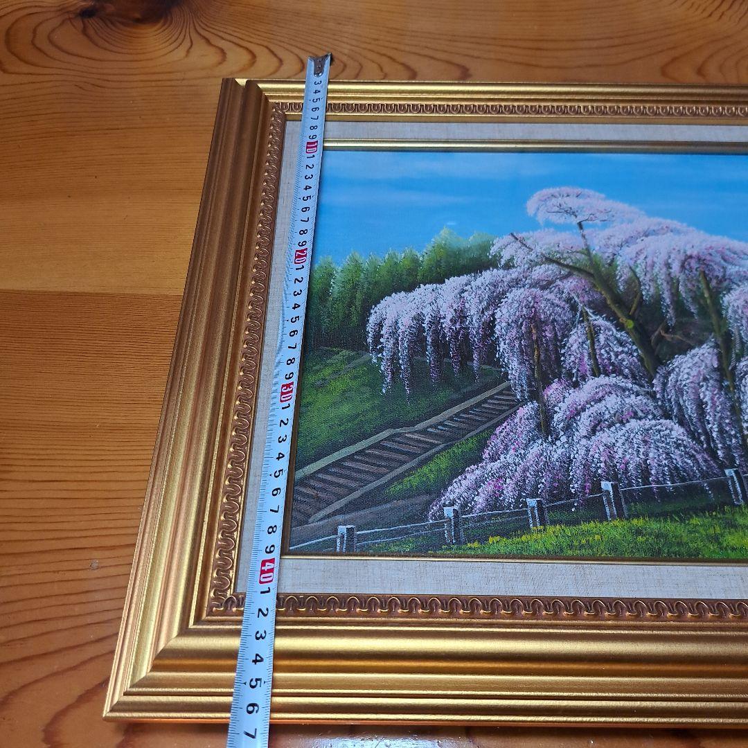 なんと‼️今だけ特別価格【期間限定商品　貴重品】日本三代桜 三春滝桜 福島県