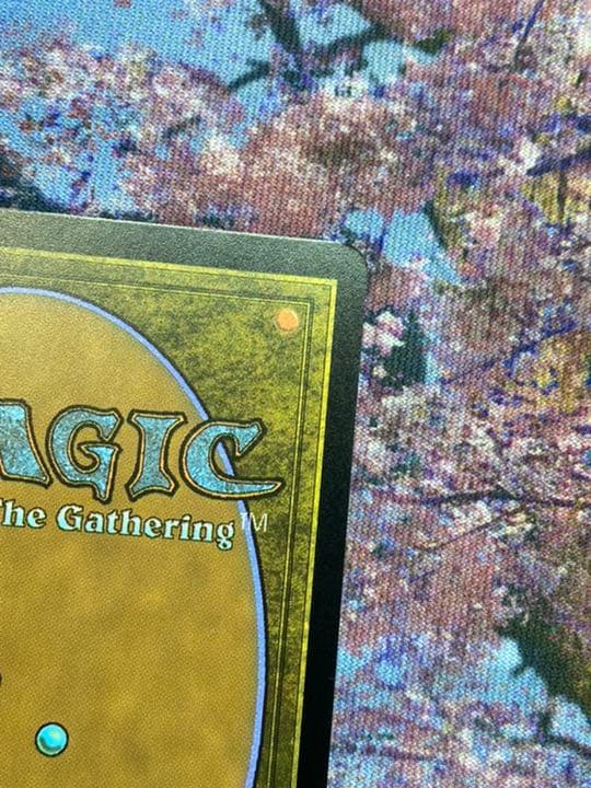 MTG アンパサンド プロモ 年老いた骨齧り　Old Gnawbone 美品