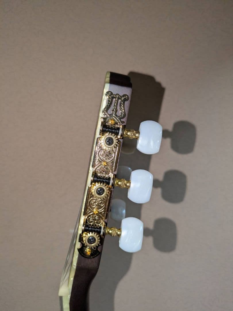 ギター ibanez TOD10N