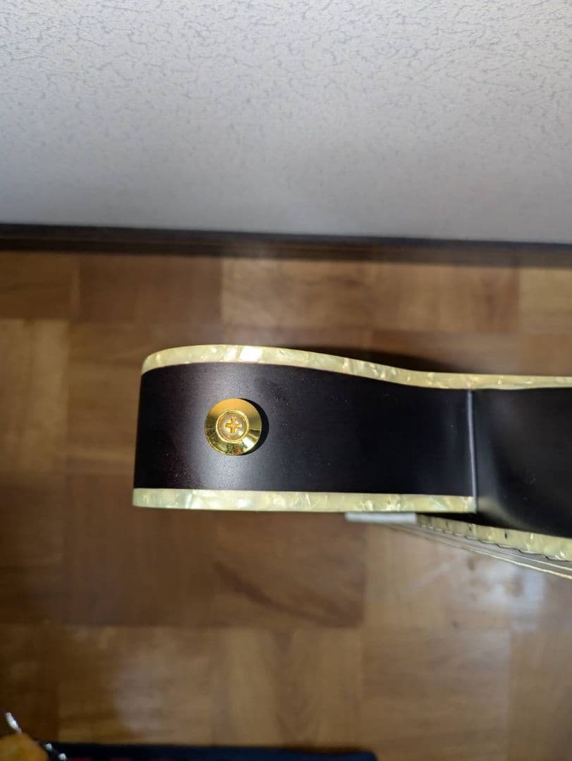 ギター ibanez TOD10N