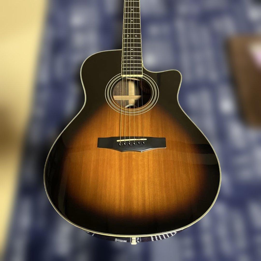 モーリス S-20TS 生産終了品 ソフトケース弦+カポ+ピック２枚付き