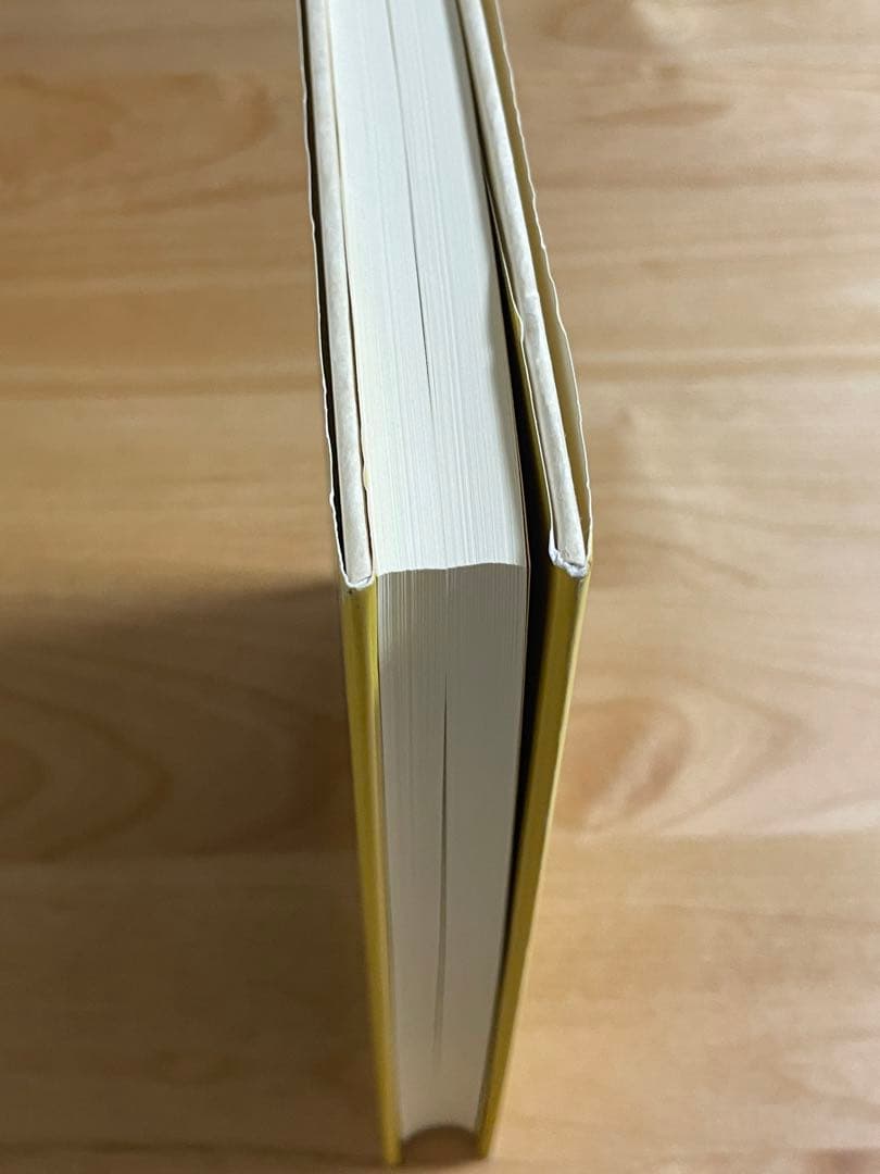 易學案内 : 皇極経世書の世界