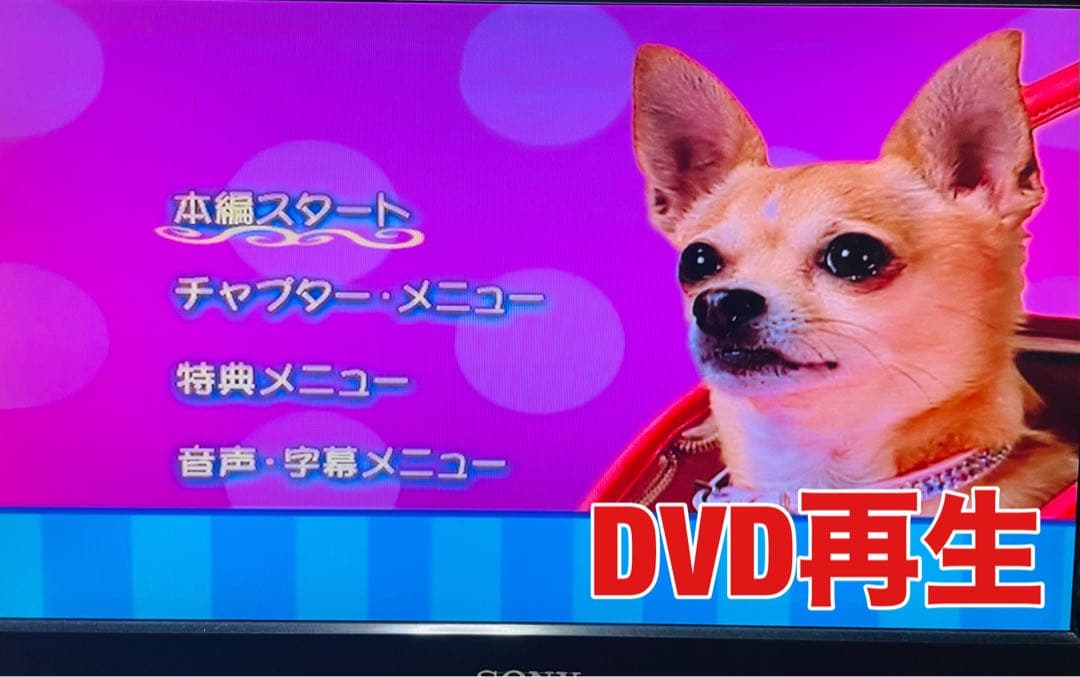 Panasonic DMR-E70V VHS/DVDレコーダー