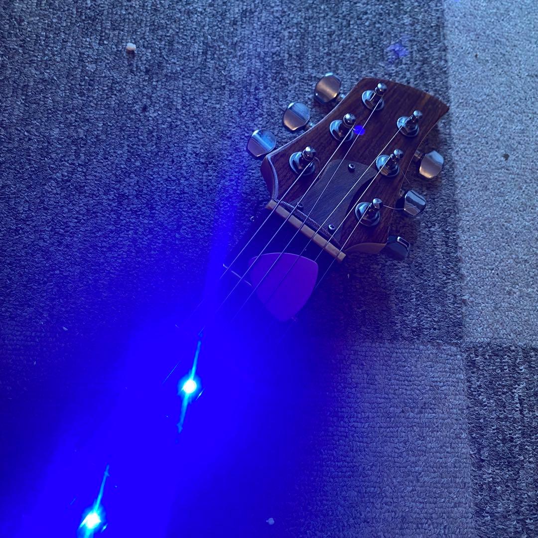 FERNANDES ハムバッカーLEDネック搭載 ブラックハート！フロイドローズ