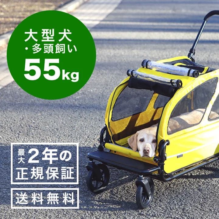 メーカー直営！正規保証品／エアバギー 台車・ルーフ キャリッジ2点セット