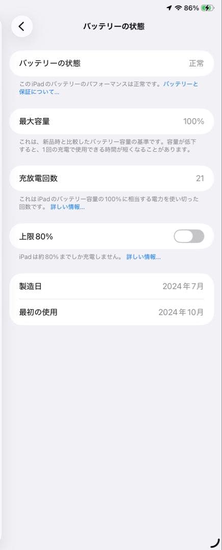 iPad mini(A17 Pro) 第7世代 128GB　付属品あり