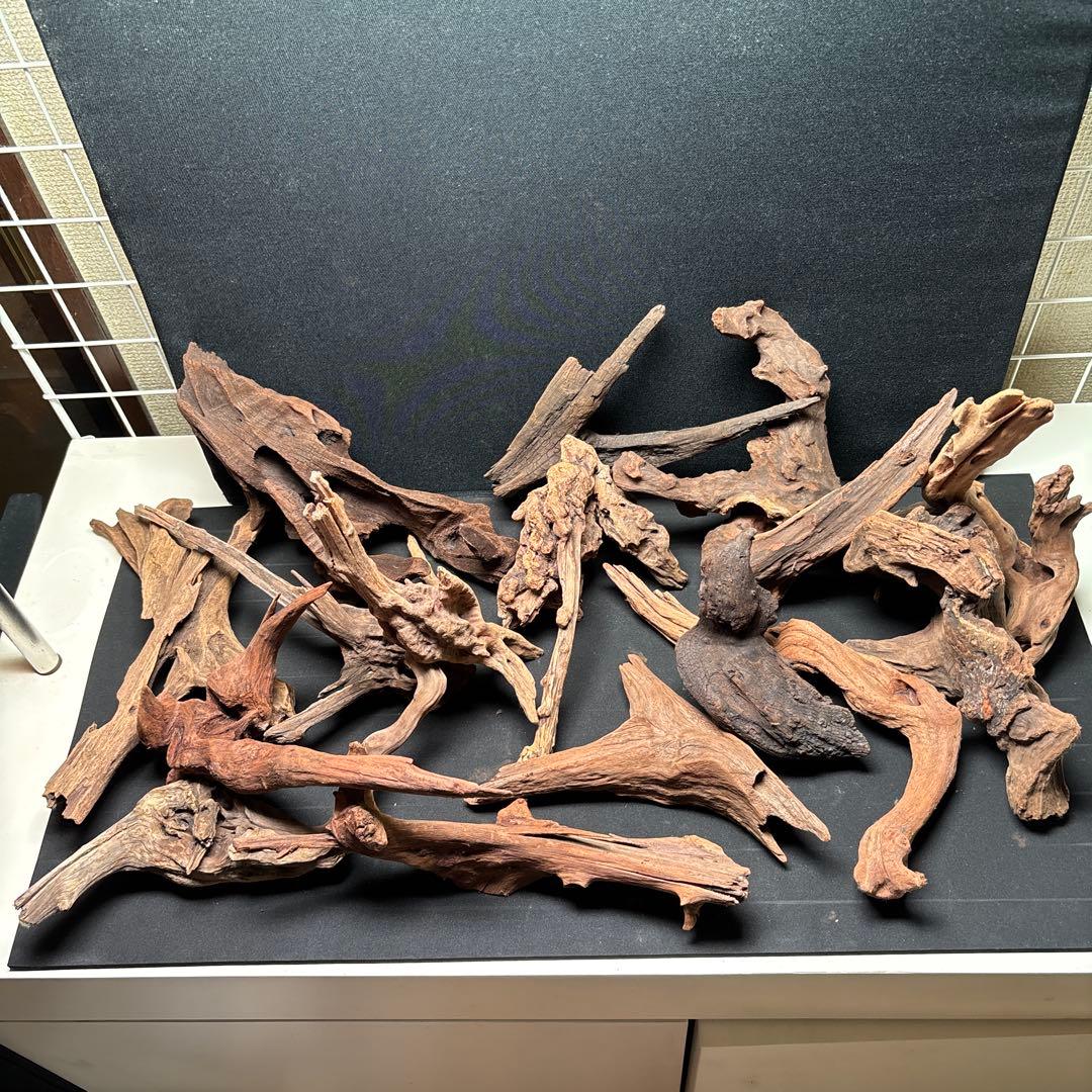 ADAホーンウッド15個