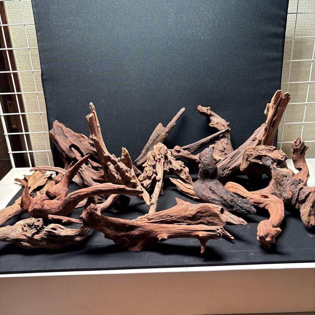 ADAホーンウッド15個