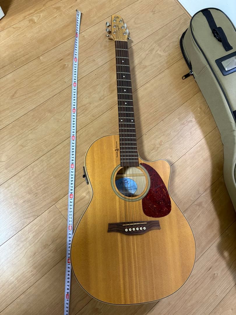 エレアコ　ギター seagull Amber Trail シーガル