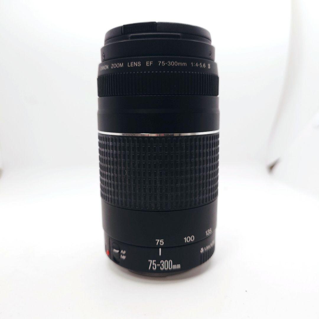 デジタル一眼レフカメラ/Canon EF 75-300㎜ 1:4-5.6 Ⅱ