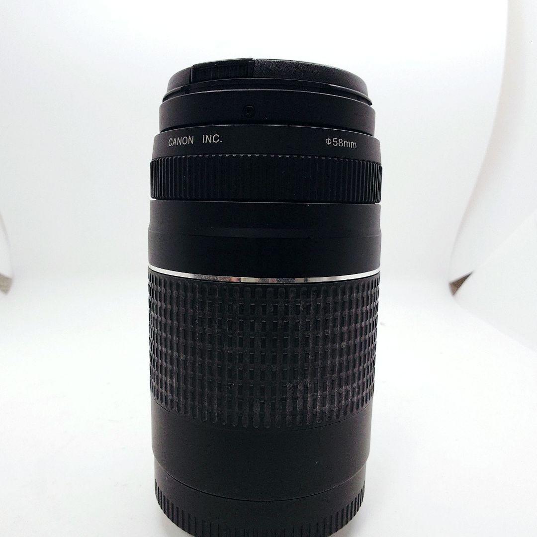 デジタル一眼レフカメラ/Canon EF 75-300㎜ 1:4-5.6 Ⅱ