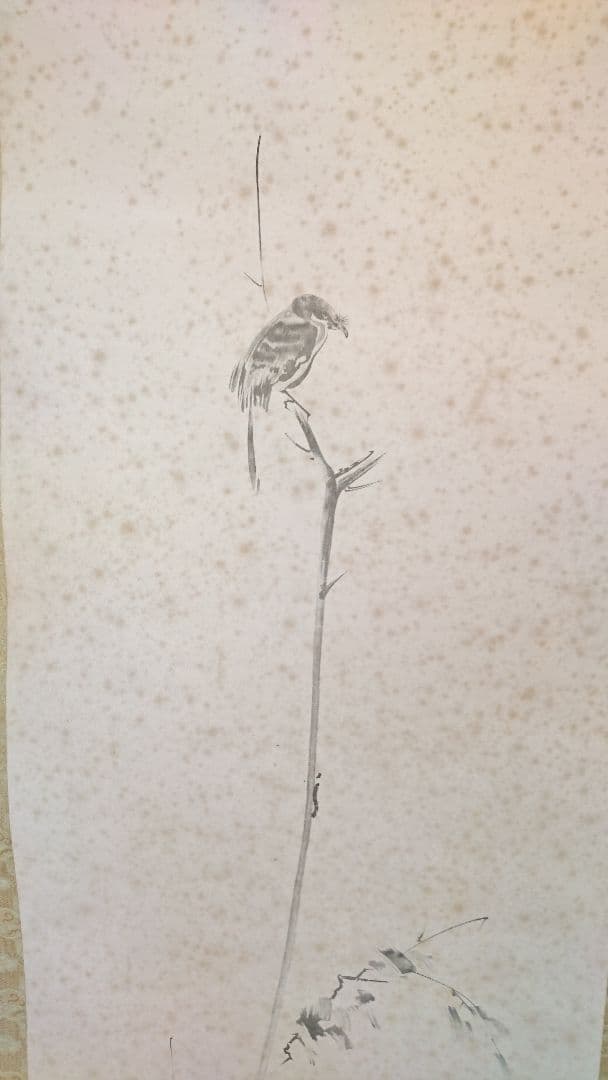 枯木鳴鵙図 掛け軸 骨董品 美術品古道具