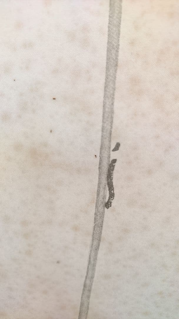 枯木鳴鵙図 掛け軸 骨董品 美術品古道具