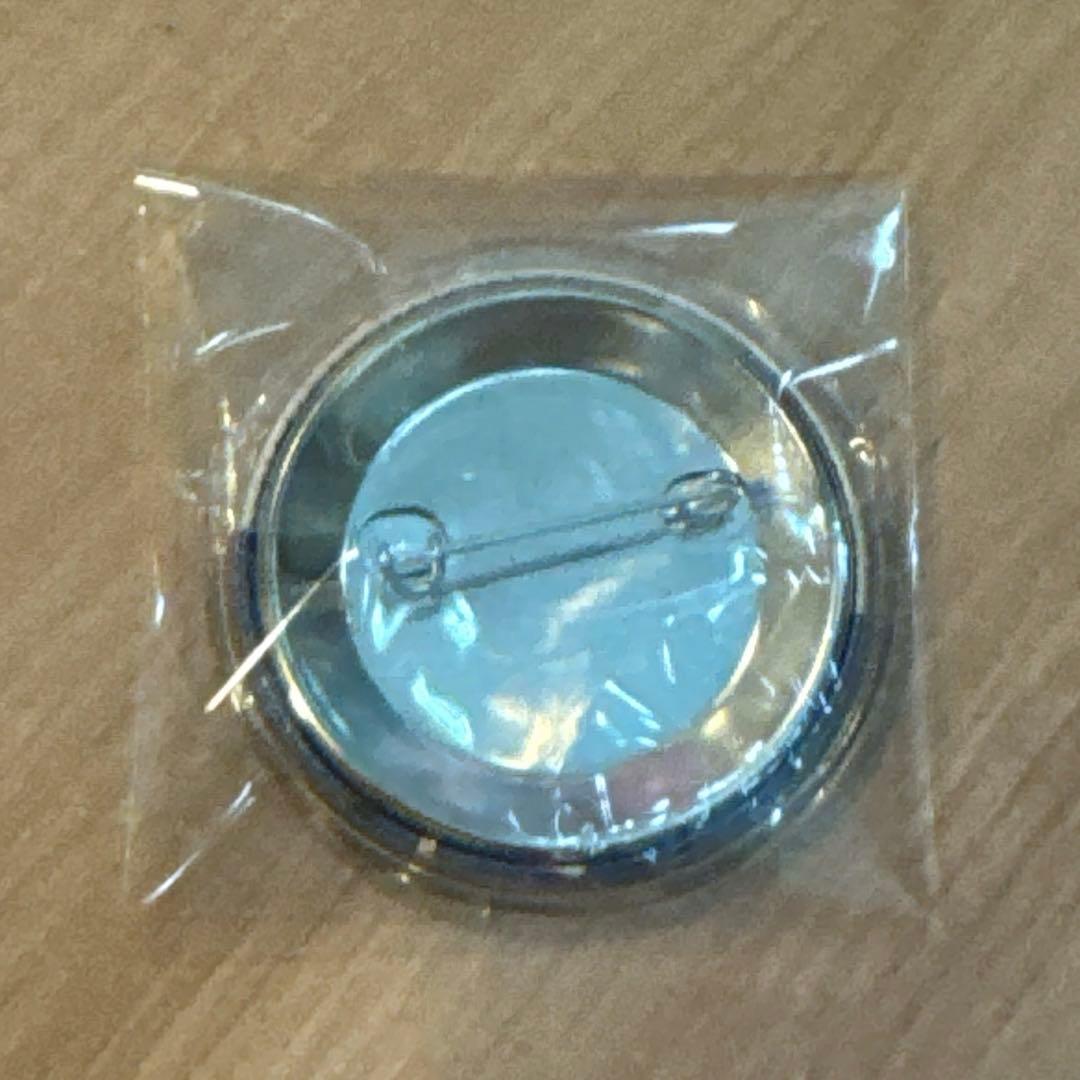 twice ツウィ　缶バッジ　gogo fightin ドリデイ　当選