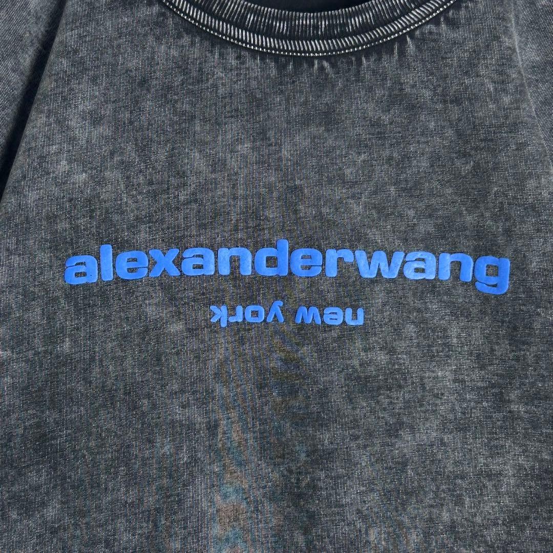 284【人気デザイン】アレキサンダーワン☆プリントロゴTシャツ ウォッシュド